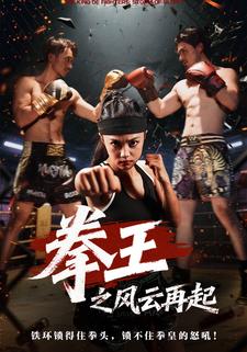 拳王之风云再起