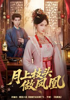 月上枝头做凤凰