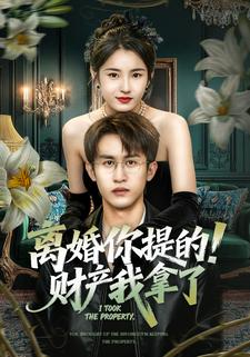 离婚你提的！财产我拿了