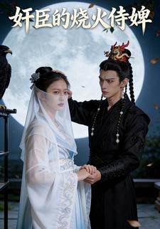 奸臣的烧火侍婢