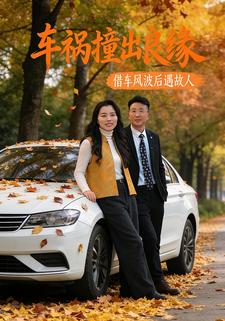 车祸撞出良缘借车风波后遇故人