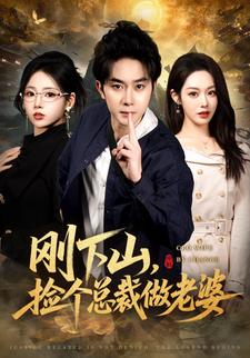 刚下山，捡个总裁做老婆