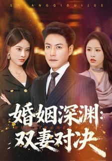 婚姻深渊：双妻对决
