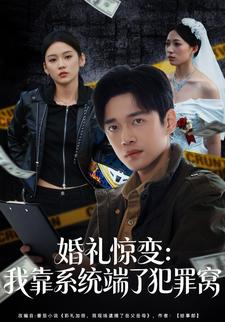 婚礼惊变：我靠系统端了犯罪窝