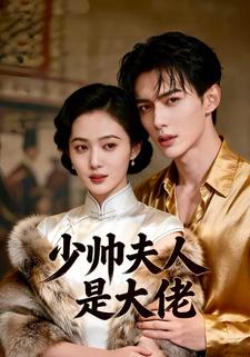 少帅夫人是大佬
