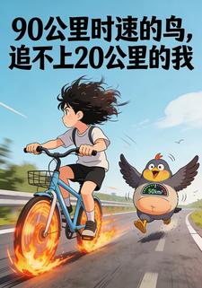 90公里时速的鸟，追不上20公里的我