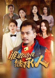 谁敢动我继承人