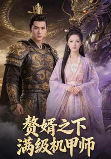 赘婿之下满级机甲师