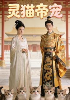 灵猫帝宠