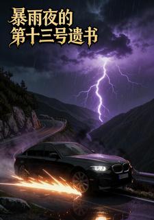 暴雨夜的第十三号遗书