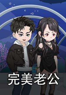 完美老公