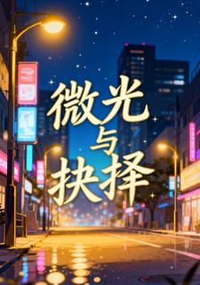 微光与抉择