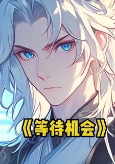 等待机会