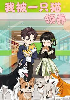 我被一只猫领养