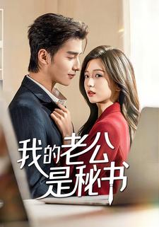 我的老公是秘书