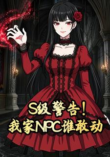 S级警告！我家NPC谁敢动