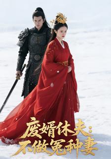 废婿休夫：不做冤种妻