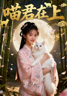 喵君在上