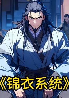 锦衣系统