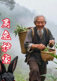 灵兔护家
