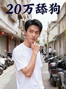 20万舔狗