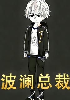 波澜总裁