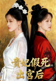 贵妃假死出宫后