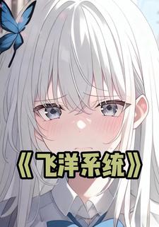 飞洋系统