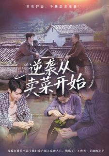 逆袭从卖菜开始