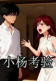 小杨考验