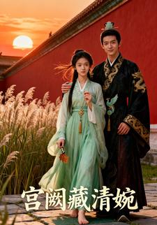 宫阙藏清婉