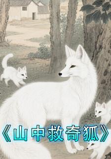 山中救奇狐