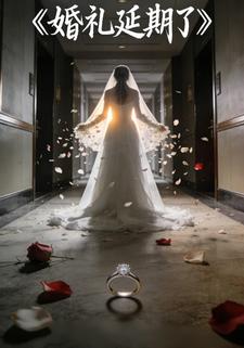 婚礼延期了