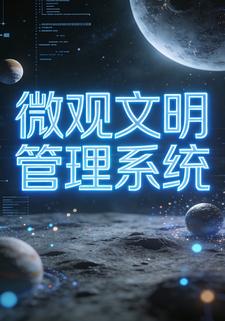 微观文明管理系统