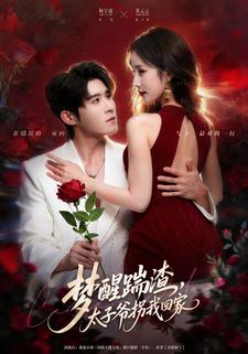 梦醒踹渣，太子爷拐我回家