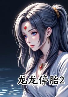 龙龙停胎2