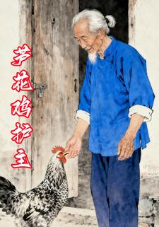 芦花鸡护主