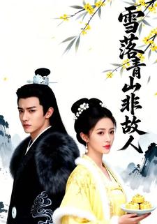 雪落青山非故人