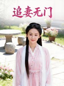 追妻无门