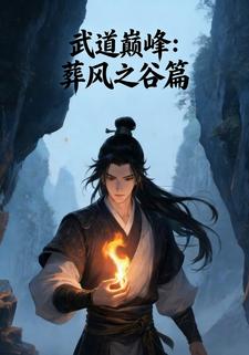 武道巅峰：葬风之谷篇