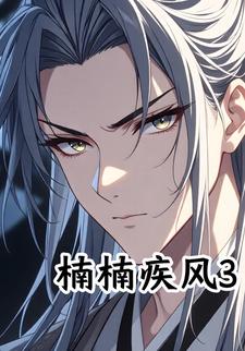 楠楠疾风3