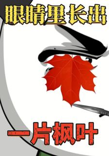 眼睛里长出一片枫叶