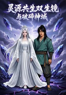 灵源共生双生镜与破碎神域