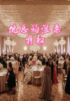 沈总的温柔特权