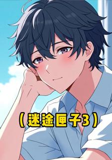 迷途匣子3