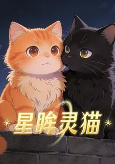 星眸灵猫