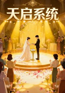 天启系统