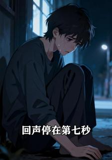 回声停在第七秒