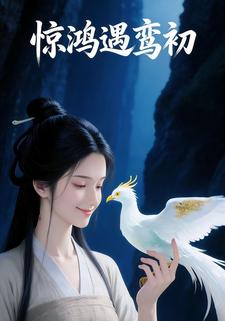 惊鸿遇鸾初