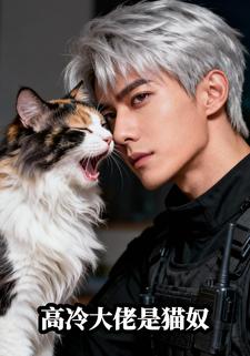 高冷大佬是猫奴